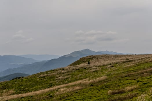 Road from Widelki to Tarnica through Bukowe Berdo in the Bieszczady Mountains in Poland