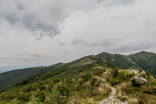 Road from Widelki to Tarnica through Bukowe Berdo in the Bieszczady Mountains in Poland