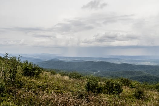 Road from Widelki to Tarnica through Bukowe Berdo in the Bieszczady Mountains in Poland