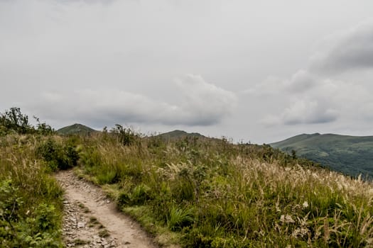 Road from Widelki to Tarnica through Bukowe Berdo in the Bieszczady Mountains in Poland