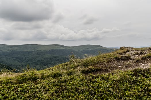 Road from Widelki to Tarnica through Bukowe Berdo in the Bieszczady Mountains in Poland