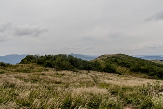 Road from Widelki to Tarnica through Bukowe Berdo in the Bieszczady Mountains in Poland