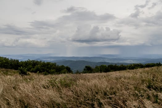 Road from Widelki to Tarnica through Bukowe Berdo in the Bieszczady Mountains in Poland