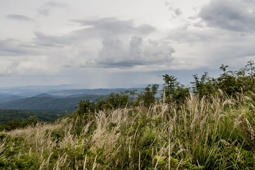 Road from Widelki to Tarnica through Bukowe Berdo in the Bieszczady Mountains in Poland