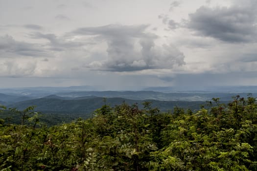 Road from Widelki to Tarnica through Bukowe Berdo in the Bieszczady Mountains in Poland