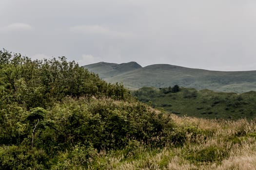 Road from Widelki to Tarnica through Bukowe Berdo in the Bieszczady Mountains in Poland