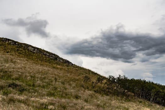 Road from Widelki to Tarnica through Bukowe Berdo in the Bieszczady Mountains in Poland