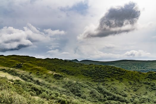 Road from Widelki to Tarnica through Bukowe Berdo in the Bieszczady Mountains in Poland