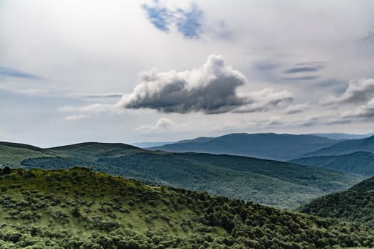 Road from Widelki to Tarnica through Bukowe Berdo in the Bieszczady Mountains in Poland