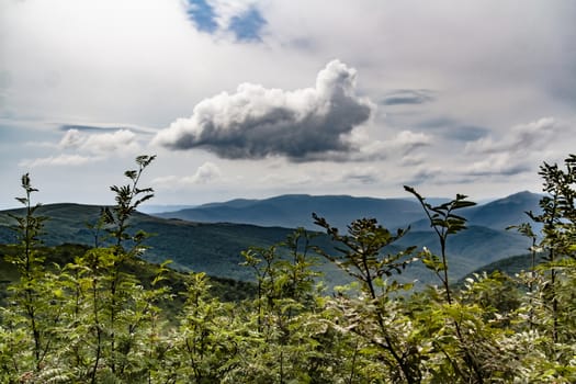 Road from Widelki to Tarnica through Bukowe Berdo in the Bieszczady Mountains in Poland