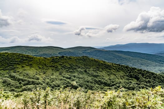 Road from Widelki to Tarnica through Bukowe Berdo in the Bieszczady Mountains in Poland