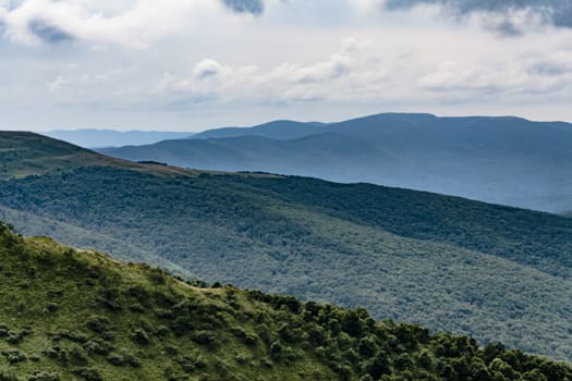 Road from Widelki to Tarnica through Bukowe Berdo in the Bieszczady Mountains in Poland