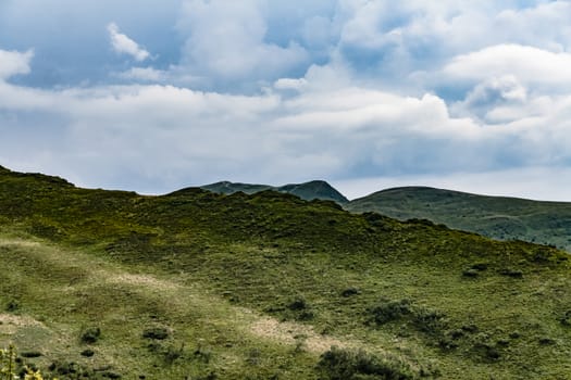 Road from Widelki to Tarnica through Bukowe Berdo in the Bieszczady Mountains in Poland