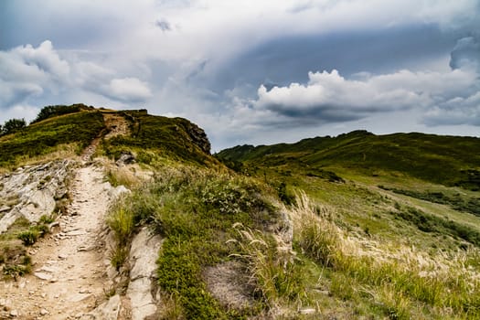 Road from Widelki to Tarnica through Bukowe Berdo in the Bieszczady Mountains in Poland