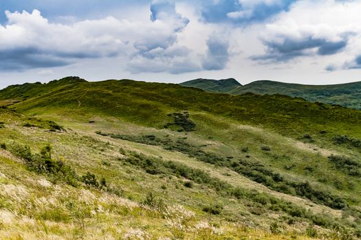 Road from Widelki to Tarnica through Bukowe Berdo in the Bieszczady Mountains in Poland