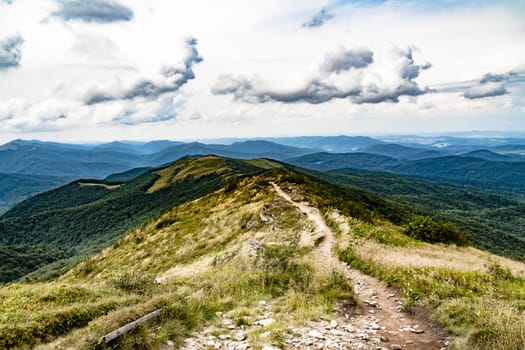 Road from Widelki to Tarnica through Bukowe Berdo in the Bieszczady Mountains in Poland