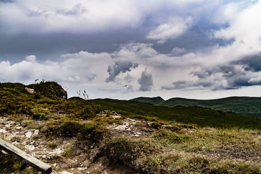 Road from Widelki to Tarnica through Bukowe Berdo in the Bieszczady Mountains in Poland