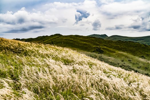 Road from Widelki to Tarnica through Bukowe Berdo in the Bieszczady Mountains in Poland