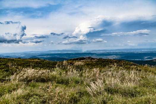 Road from Widelki to Tarnica through Bukowe Berdo in the Bieszczady Mountains in Poland