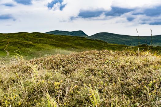 Road from Widelki to Tarnica through Bukowe Berdo in the Bieszczady Mountains in Poland