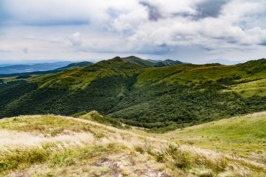 Road from Widelki to Tarnica through Bukowe Berdo in the Bieszczady Mountains in Poland