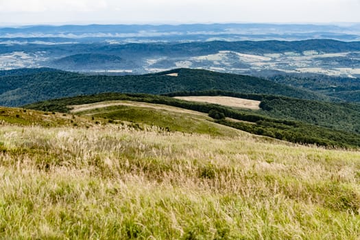 Road from Widelki to Tarnica through Bukowe Berdo in the Bieszczady Mountains in Poland