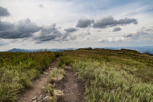 Road from Widelki to Tarnica through Bukowe Berdo in the Bieszczady Mountains in Poland