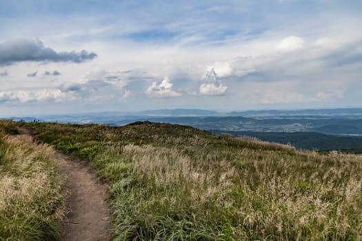 Road from Widelki to Tarnica through Bukowe Berdo in the Bieszczady Mountains in Poland