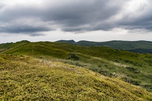 Road from Widelki to Tarnica through Bukowe Berdo in the Bieszczady Mountains in Poland