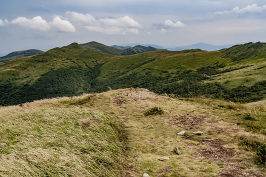 Road from Widelki to Tarnica through Bukowe Berdo in the Bieszczady Mountains in Poland