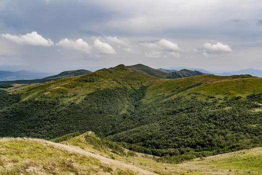 Road from Widelki to Tarnica through Bukowe Berdo in the Bieszczady Mountains in Poland