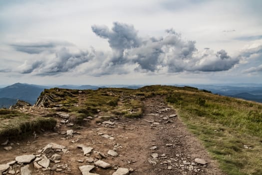 Road from Widelki to Tarnica through Bukowe Berdo in the Bieszczady Mountains in Poland