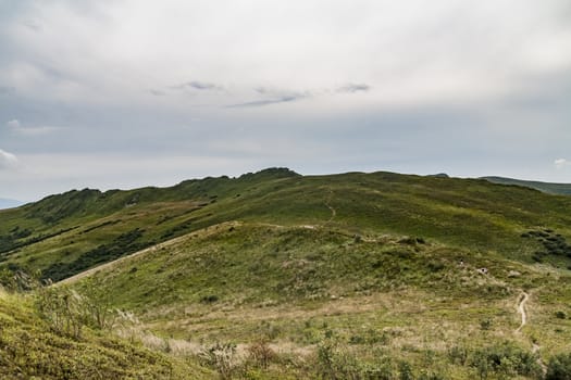 Road from Widelki to Tarnica through Bukowe Berdo in the Bieszczady Mountains in Poland