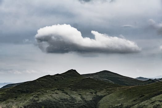 Road from Widelki to Tarnica through Bukowe Berdo in the Bieszczady Mountains in Poland