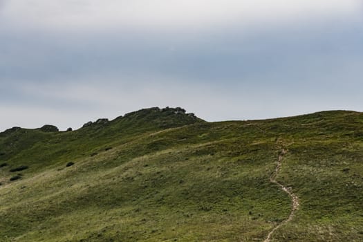 Road from Widelki to Tarnica through Bukowe Berdo in the Bieszczady Mountains in Poland