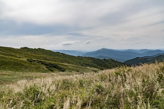 Road from Widelki to Tarnica through Bukowe Berdo in the Bieszczady Mountains in Poland