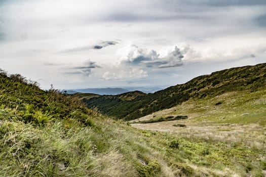 Road from Widelki to Tarnica through Bukowe Berdo in the Bieszczady Mountains in Poland