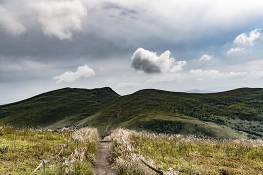 Road from Widelki to Tarnica through Bukowe Berdo in the Bieszczady Mountains in Poland