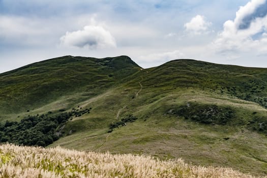 Road from Widelki to Tarnica through Bukowe Berdo in the Bieszczady Mountains in Poland