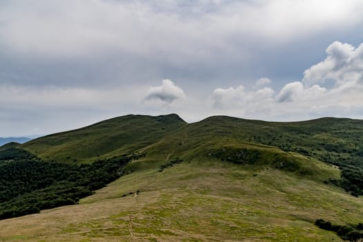 Road from Widelki to Tarnica through Bukowe Berdo in the Bieszczady Mountains in Poland