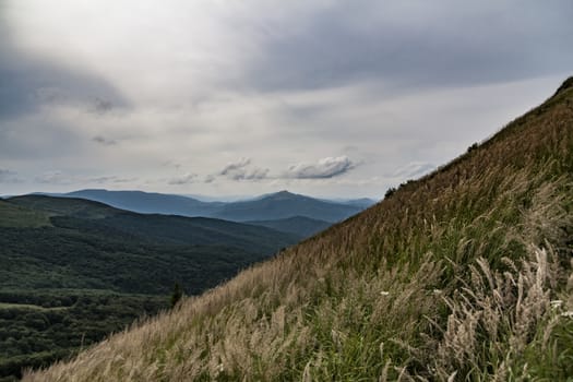 Road from Widelki to Tarnica through Bukowe Berdo in the Bieszczady Mountains in Poland