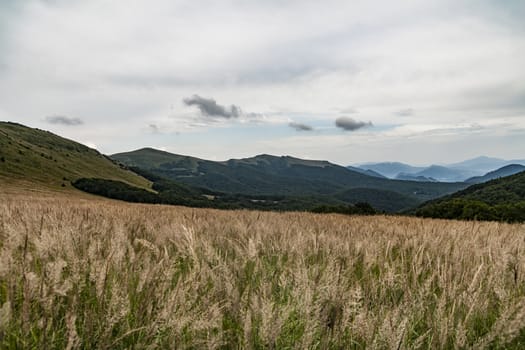 Road from Widelki to Tarnica through Bukowe Berdo in the Bieszczady Mountains in Poland