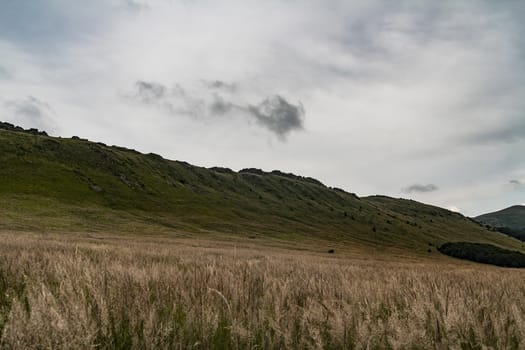 Road from Widelki to Tarnica through Bukowe Berdo in the Bieszczady Mountains in Poland