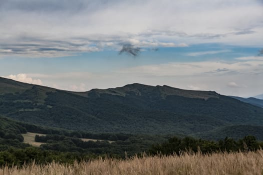 Road from Widelki to Tarnica through Bukowe Berdo in the Bieszczady Mountains in Poland