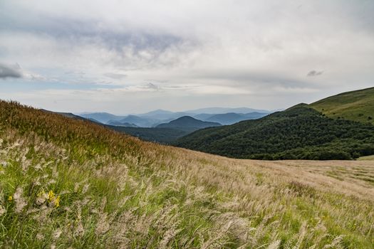 Road from Widelki to Tarnica through Bukowe Berdo in the Bieszczady Mountains in Poland