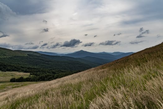 Road from Widelki to Tarnica through Bukowe Berdo in the Bieszczady Mountains in Poland