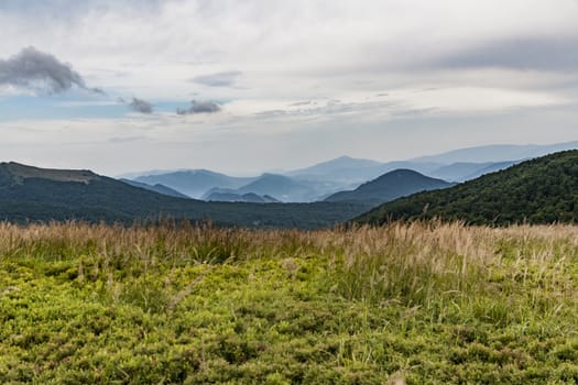 Road from Widelki to Tarnica through Bukowe Berdo in the Bieszczady Mountains in Poland