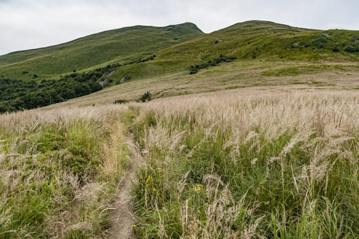 Road from Widelki to Tarnica through Bukowe Berdo in the Bieszczady Mountains in Poland