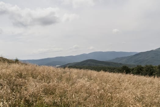 Road from Widelki to Tarnica through Bukowe Berdo in the Bieszczady Mountains in Poland