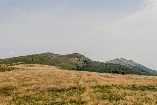 Road from Widelki to Tarnica through Bukowe Berdo in the Bieszczady Mountains in Poland